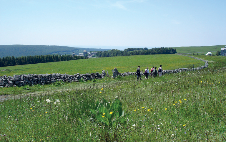 Randonner en Aubrac - G. Diaz