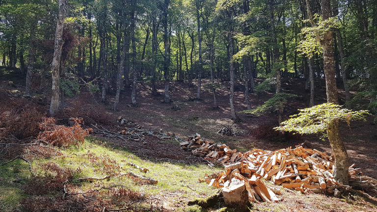 Charte forestière de l'Aubrac - PNR Aubrac