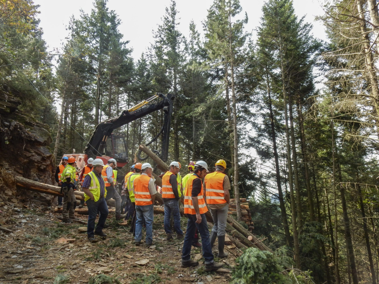 Formation forêts - Crédit Cofor