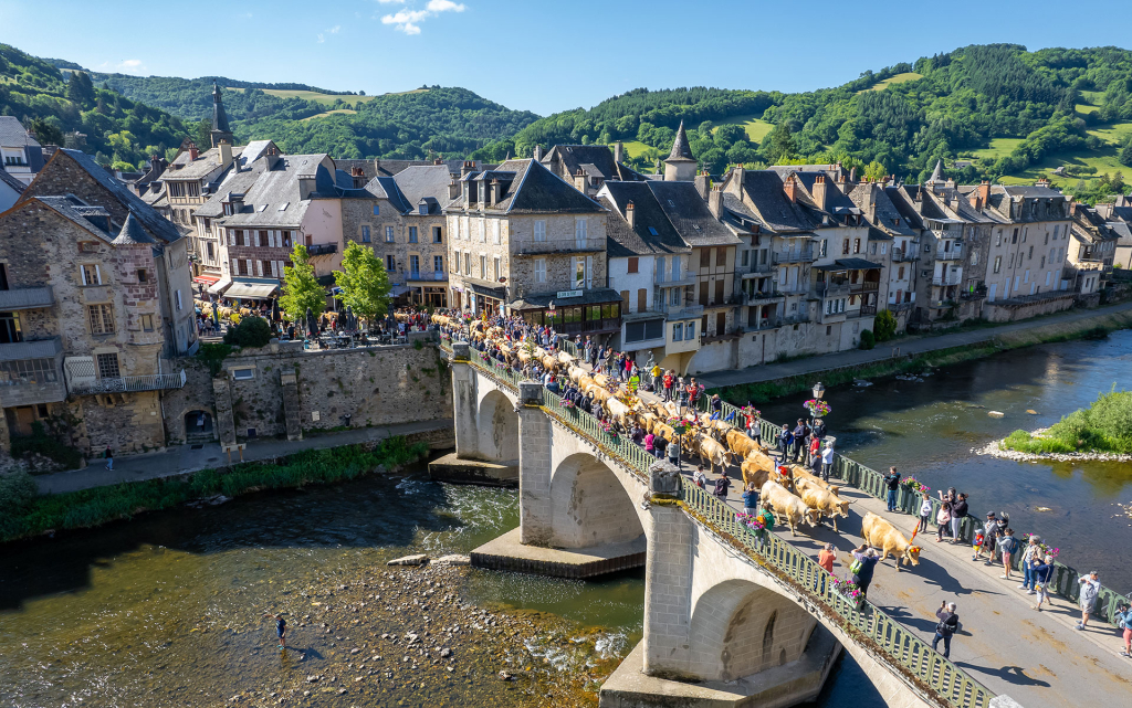 LaTranshumance de Saint Geniez d'Olt et d'Abrac - B. Colomb - PACT Aubrac