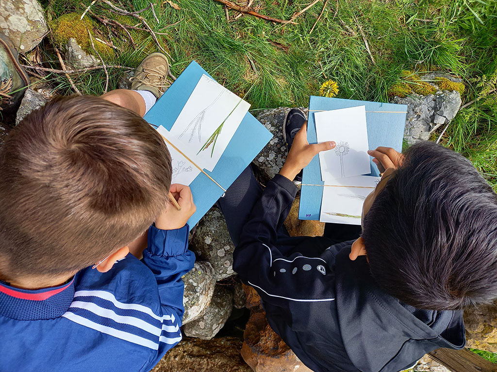 Les prairies fleuries de l’Aubrac avec l'école de Saint Alban et le collège de Saint Chély d’Apcher - PNR Aubrac