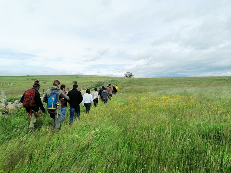 Atelier de terrain Prairies naturelles - PNR Aubrac