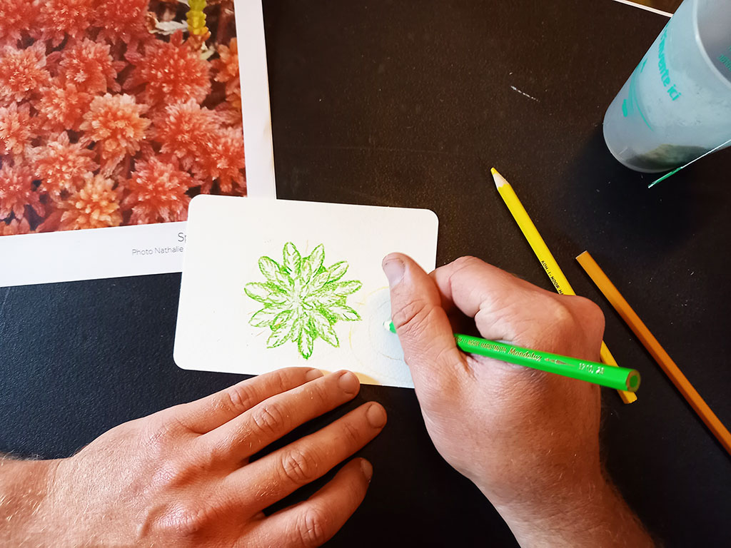 Journée de formation tourbière et dessin botanique - PNR Aubrac