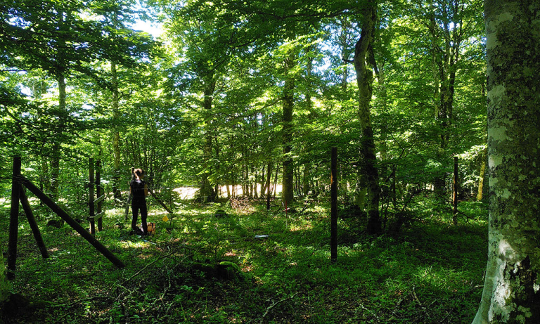 Enclos/exclos forestier - PNR Aubrac