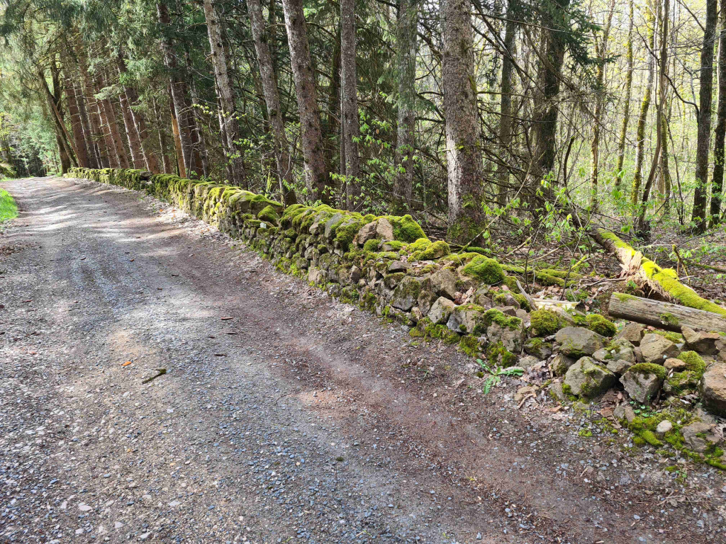 Chantier Apprendre la pierre sèche à Banassac - PNR Aubrac