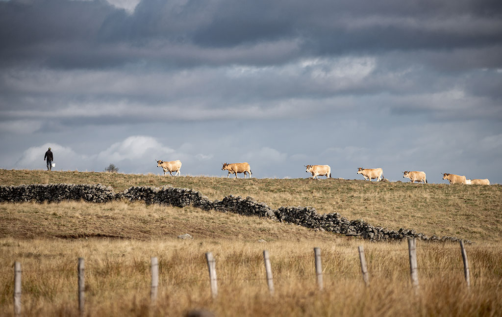 J. Damase - PNR Aubrac